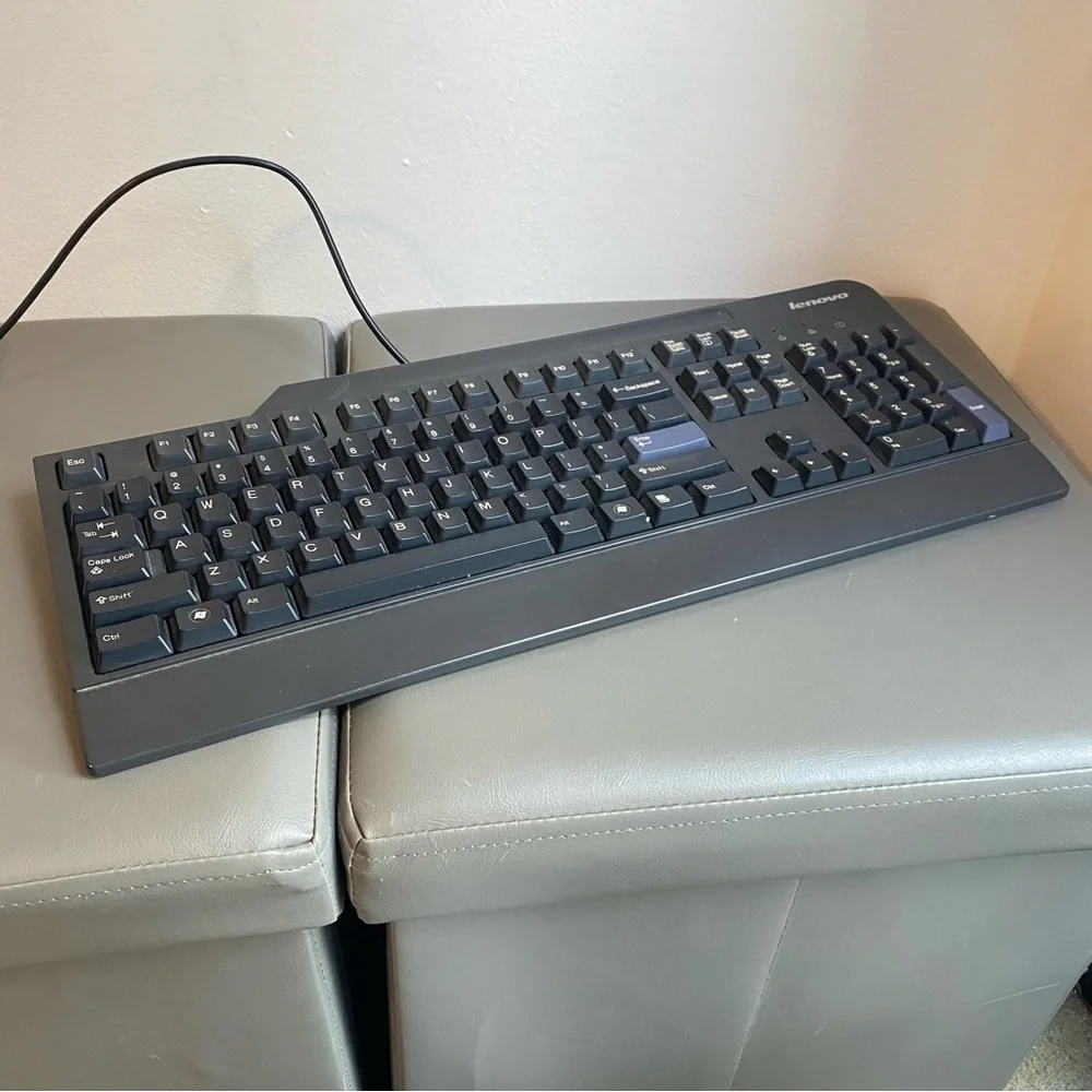 Lenovo KU-0225 Wired USB Keyboard Black Full Size PC Desktop Computer Accessory